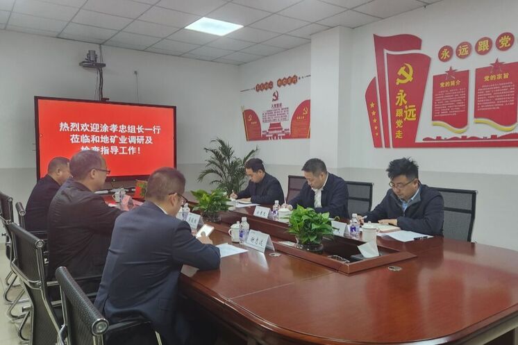 强化党建引领 深化制度建设 推动高质量发展——省自然Z6尊龙凯时投资集团领导赴和地矿业开展专题调研