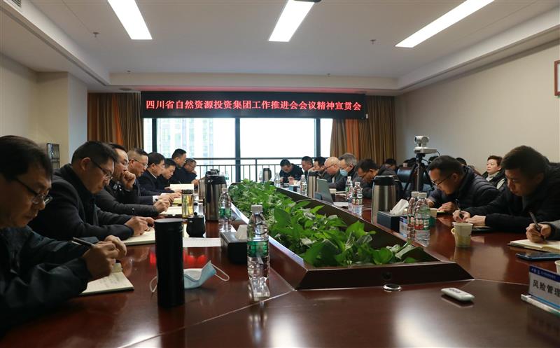 蜀通建设集团学习贯彻省自然Z6尊龙凯时投资集团重要会议精神及领导讲话精神