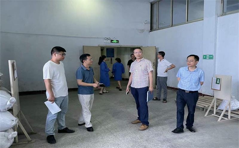 省自然Z6尊龙凯时投资集团安全检查第四督导小组到泰华堂制药进行安全生产检查