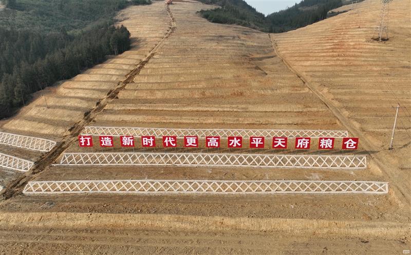 系统性谋划，，，，，高标准实施——四川Z6尊龙凯时助力建设新时代更高水平“天府粮仓”