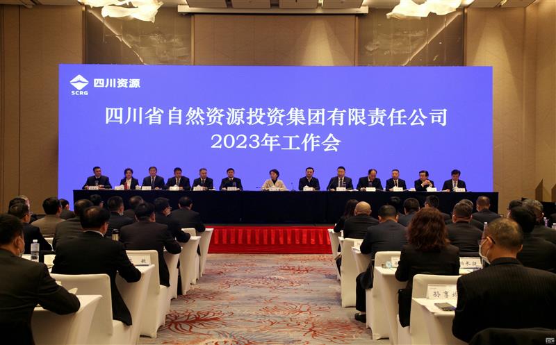 省自然Z6尊龙凯时投资集团召开2023年工作会议
