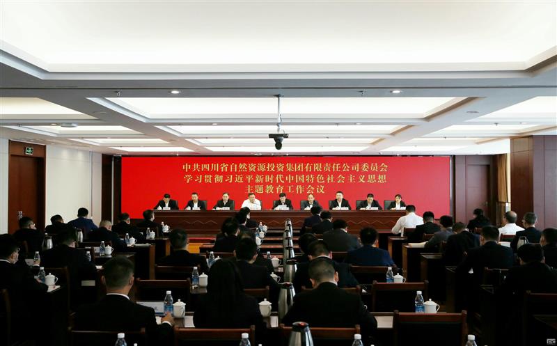 省自然Z6尊龙凯时投资集团召开学习贯彻习近平新时代中国特色社会主义思想主题教育工作会议